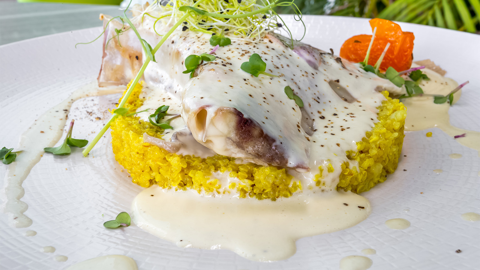 A classic rich and smooth French sauce beurre blanc white wine butter sauce gravy.