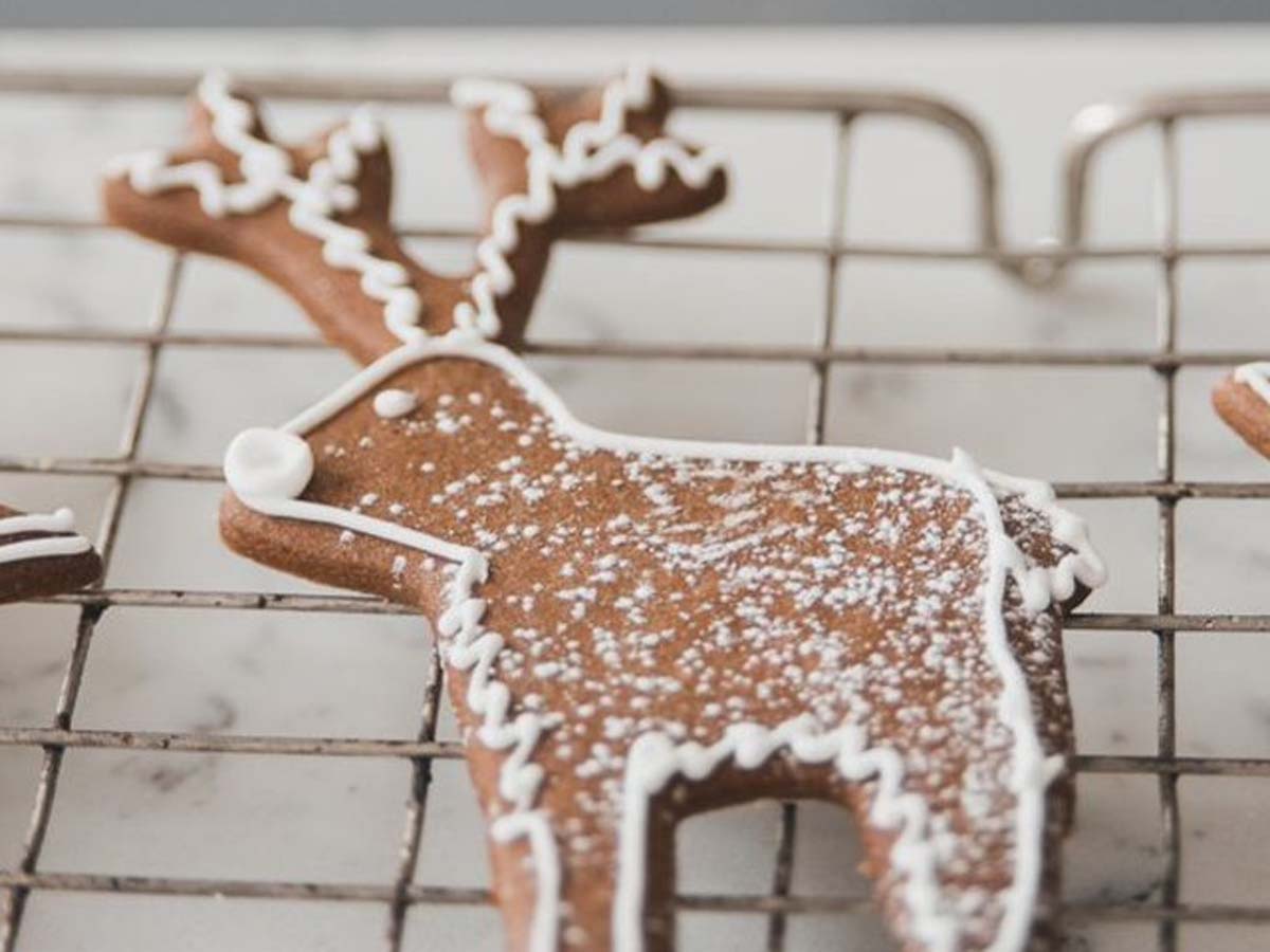 Holiday gingerbread biscuits cut into festive shapes and decorated with white royal icing.